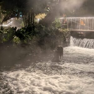 day pass hotsprings in la fortuna