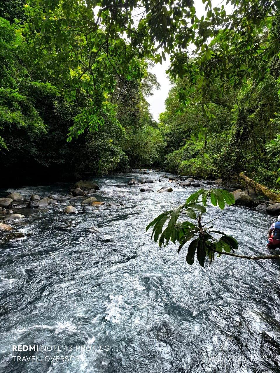 auto draft auto draft