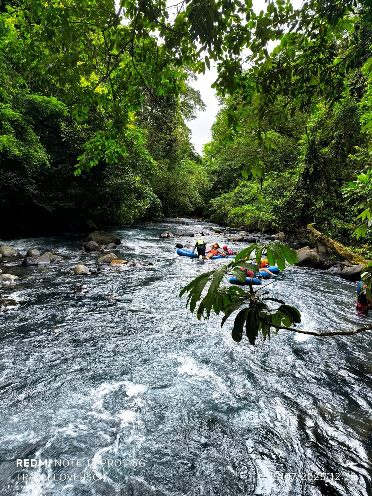 auto draft auto draft