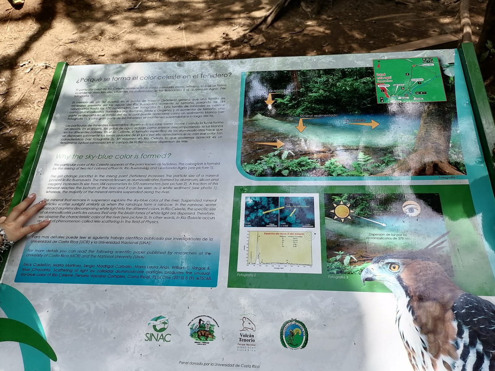 parque nacional volcan tenorio (rio celeste) parque nacional volcan tenorio (rio celeste)