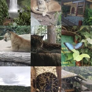 san jose aeropuerto a la paz waterfall